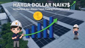 Harga Dollar Naik